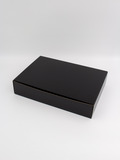 A4 Hinged Lid Box (65H) image